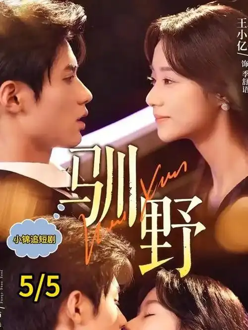深夜影院剧集《十二点后的急诊室》海报